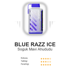 Vozol Gear 20000 - Blue Razz Ice