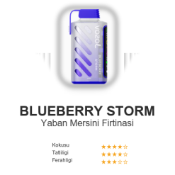 Vozol Gear 20000 - Blueberry Storm