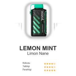 Vozol Gear 20000 - Lemon Mint