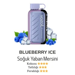 Vozol Gear 50000 - Blueberry Ice