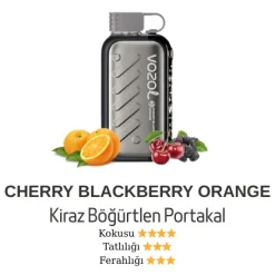 Vozol Gear 50000 - Cherry Blackberry Orange