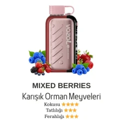 Vozol Gear 50000 - Mixed Berries