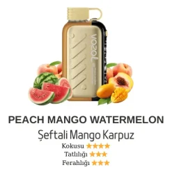 Vozol Gear 50000 - Peach Mango Watermelon