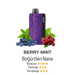 Vozol Neon 45000 - Berry Mint