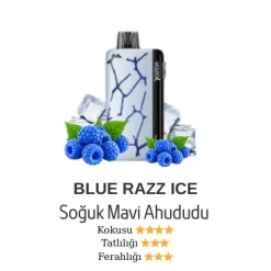 Vozol Neon 45000 - Blueberry Ice