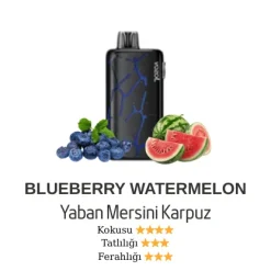 Vozol Neon 45000 - Blueberry Watermelon