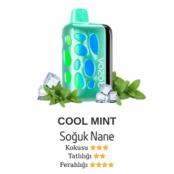 Vozol Rave 40000 - Cool Mint