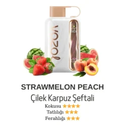 Vozol Star 40000 - Strawmelon Peach