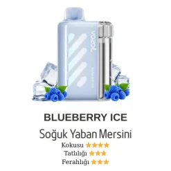 Vozol Vista 40000 - Blueberry Ice